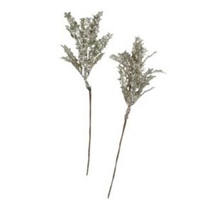 Design blade p� stilk champagne