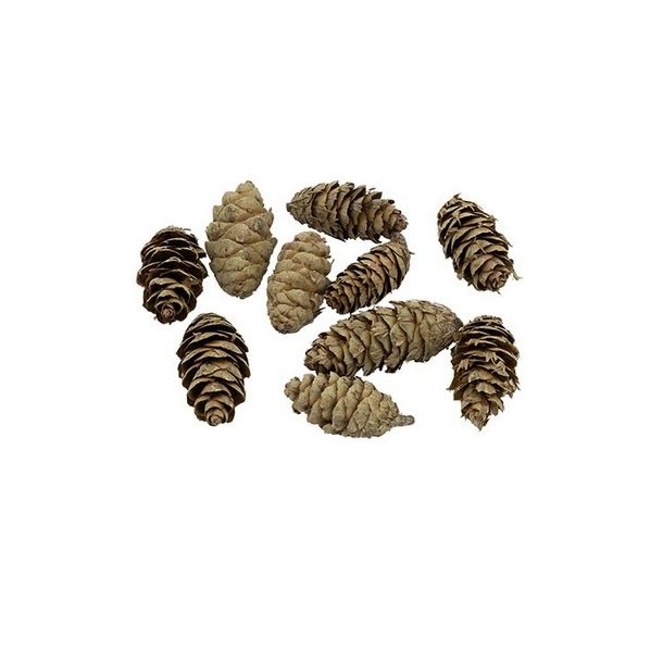 Douglas kogle 23-27 stk