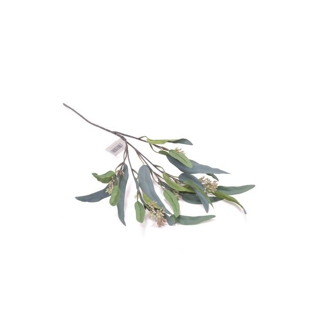Eucalyptus gr�n