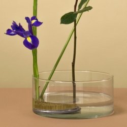 Fakir � 6,35 cm Oasis