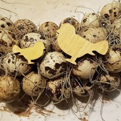 Tr� Fugle Gul ass.