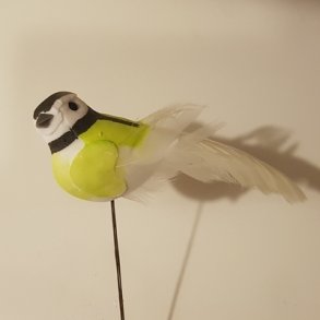 Fugl lime p� tr�d