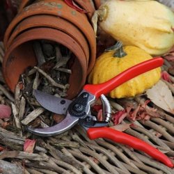 Grensaks basis r�d