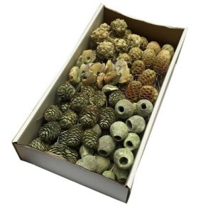 Sampak med blandede Naturmatrialer gr�n frost