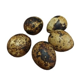 Vagtel�g gulbrun 5 stk