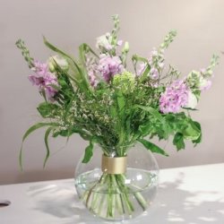 Hanataba Champagne Gold