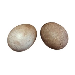 H�nse�g m�rkebrun