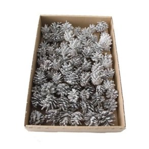 Kogle hvid effekt p� tr�d 75 stk. 