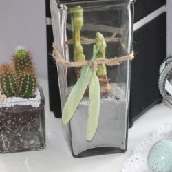 Vase 4-kant 11D 23H klar