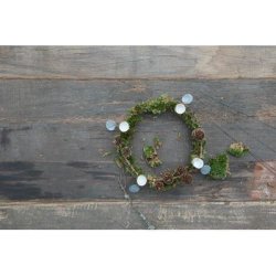 Bedelys Lys gr�n/bl� varierende farver