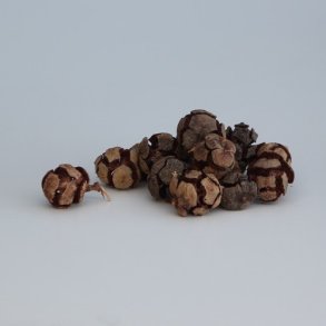 Cypres Kogle 200 gram.