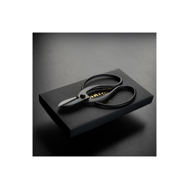 Japansk Hanataba have saks