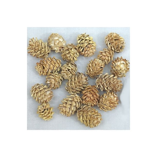 Salignum Kogler 1 kg i pose.