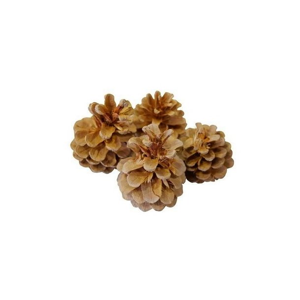 Fyrkogle creme pr stk