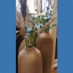 Kornblomster lysebl�