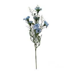 Kornblomster lysebl�