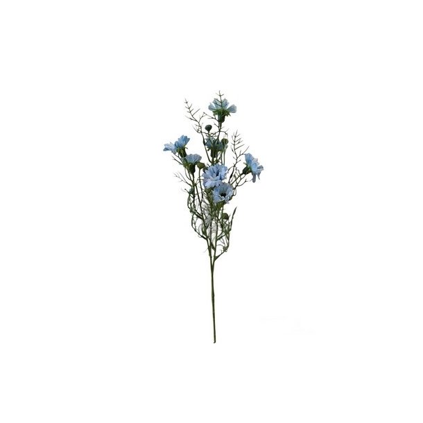 Kornblomster lysebl�