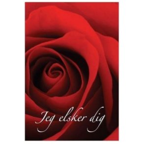 Kort med blomstermotiv nr 24 inklusiv kuvert.