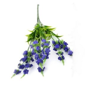 Lavendel m�rk lilla