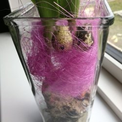 Sisal/Feh�r Lilla/pink