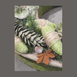 Luffa natur p� pind