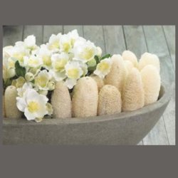 Luffa natur p� pind