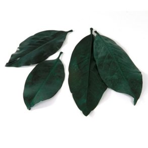 Magnolia blade Gr�n 200 Gram.