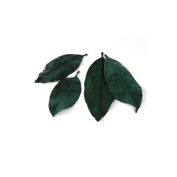 Magnolia blade Gr�n 200 Gram.