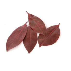 Magnolia blade R�dbrun 200 Gram.