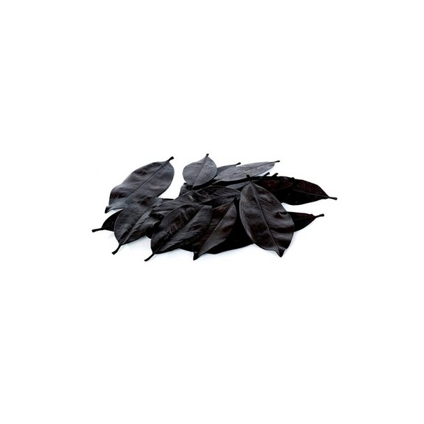 Magnolia blade Sort 200 Gram.