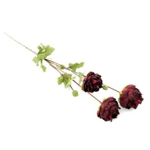 Ranunkel m�rker�d 70 cm