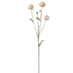 Ranunkel rosa 70 cm
