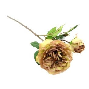 Rose med knop gr�n brun