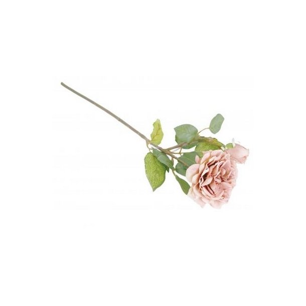 Rose med knop rosa