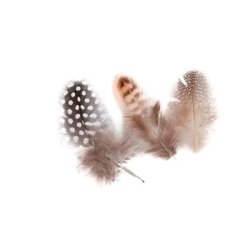 Perleh�nefjer 15 gram.