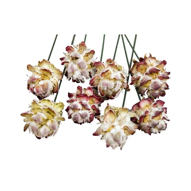 Pubescens p� tr�d