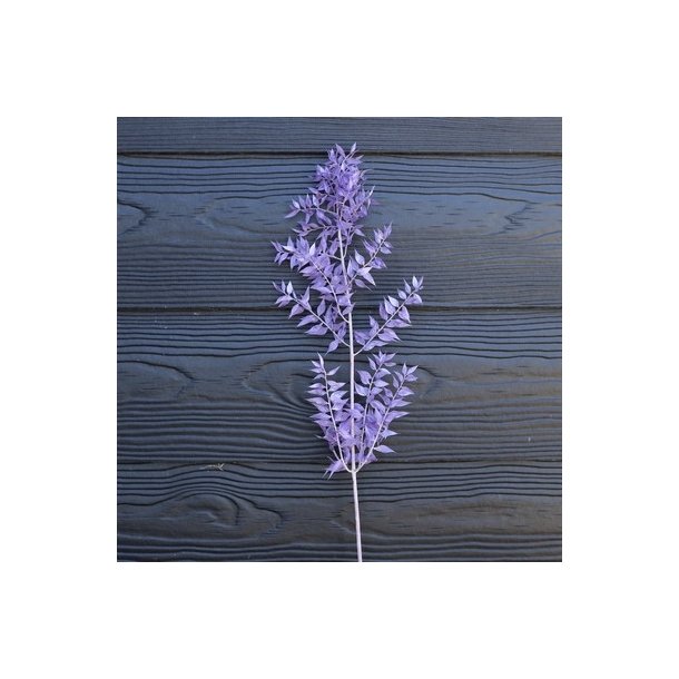 Ruscus lilla t�rret pr stilk