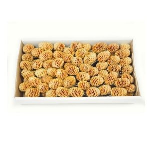 Sabulosum p� tr�d 100 stk.