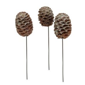 Sabulosum p� tr�d hvidvasket 100 stk.