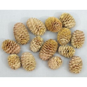 Sabulosum Kogle 1 kg.