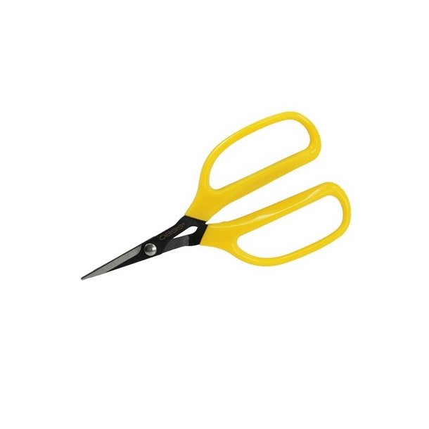 Saks Oasis carbon sk�r.