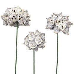 Spidergum p� tr�d hvidvasket