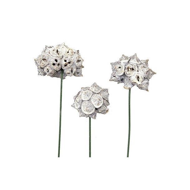 Spidergum p� tr�d hvidvasket