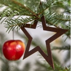 Stjerne Vega 10x10 rust