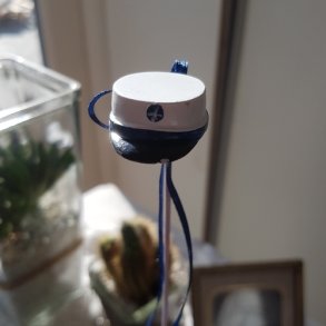 Studenterhue p� pind - Bl�