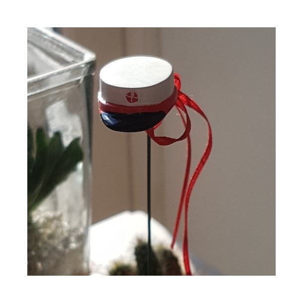 Studenterhue p� pind - R�de