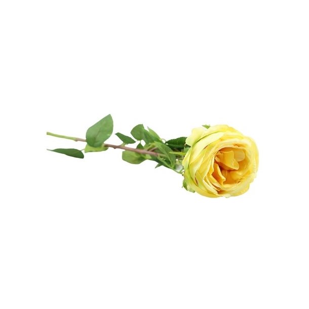 Rose gul 63 cm
