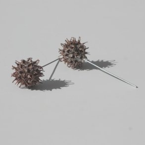 Sweetgum p� tr�d hvidvasket