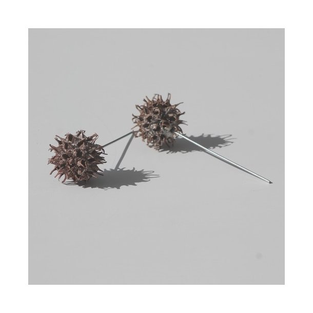 Sweetgum p� tr�d hvidvasket