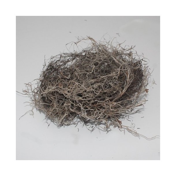 Tillandsia mos 300 gram.